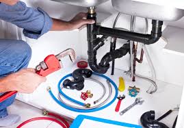 Best Trenchless Pipe Repair  in Fair Grove, MO